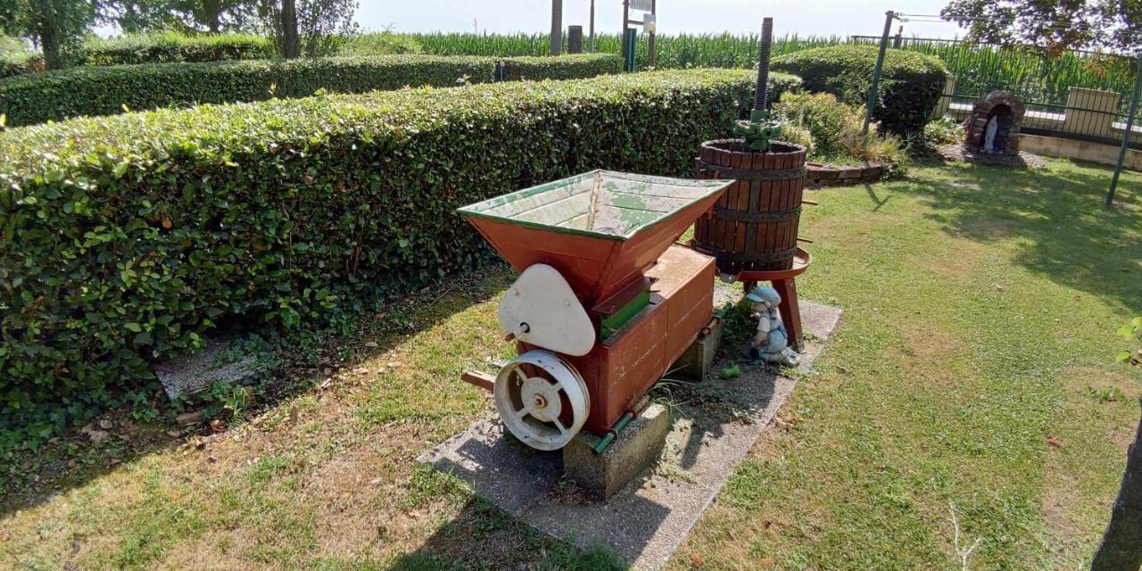 Agriturismo La Fraterna Tolle ภายนอก รูปภาพ